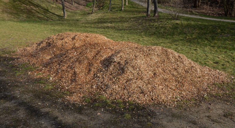 Wood Chips in Storage