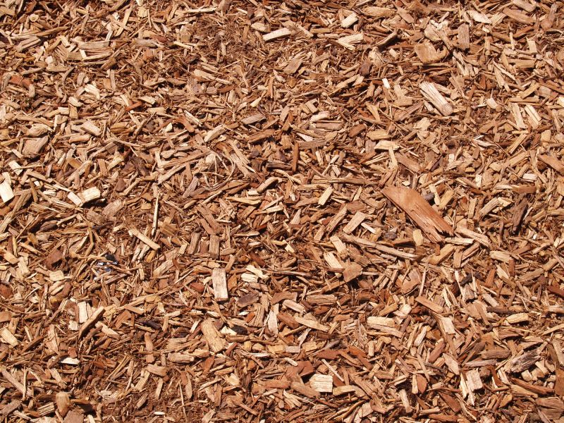 Project Site with Bulk Wood Chips