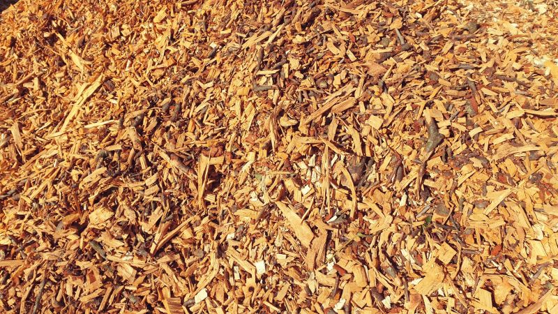 Wood Chips Storage Area