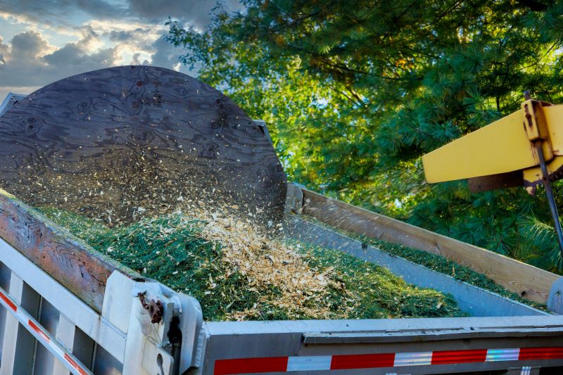 Bulk Wood Chips Delivery