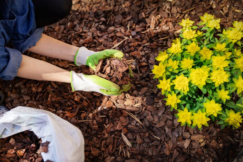 Cypress Mulch Installation in Ventura County, CA