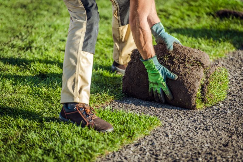 Dryscape Landscaping in Honolulu, HI