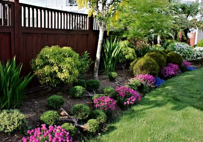 Garden Maintenance Service in Ventura County, CA