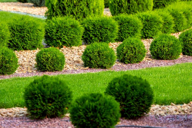 Landscape Planting Service in Honolulu, HI