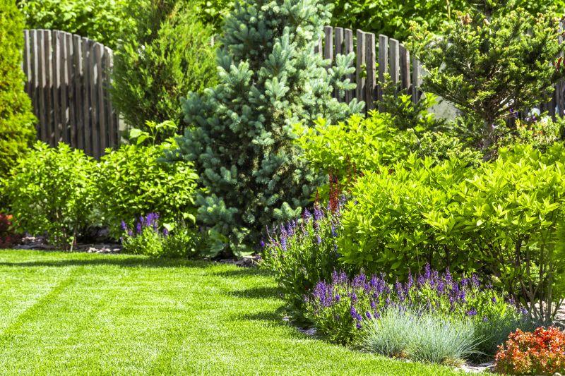 Landscape Remodeling in Ventura County, CA