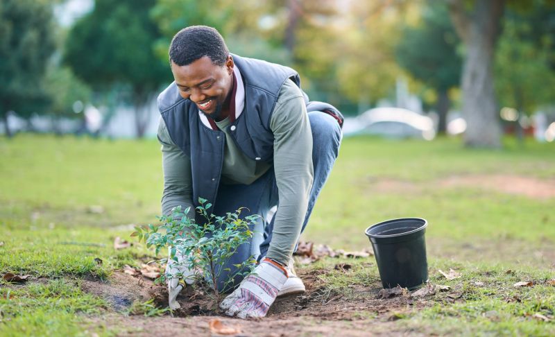 Shrub Replacement in Ventura County, CA