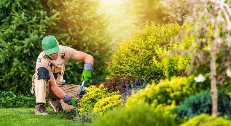 Small Garden Landscaping in Honolulu, HI